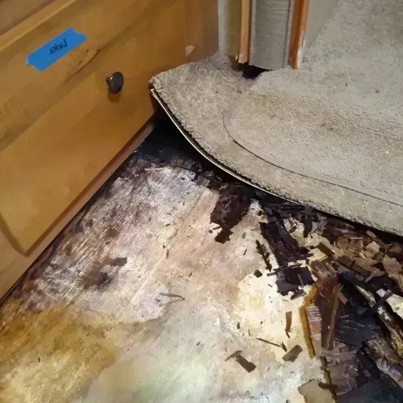 Wood Floor Water Damage in Maple Bluff, WI